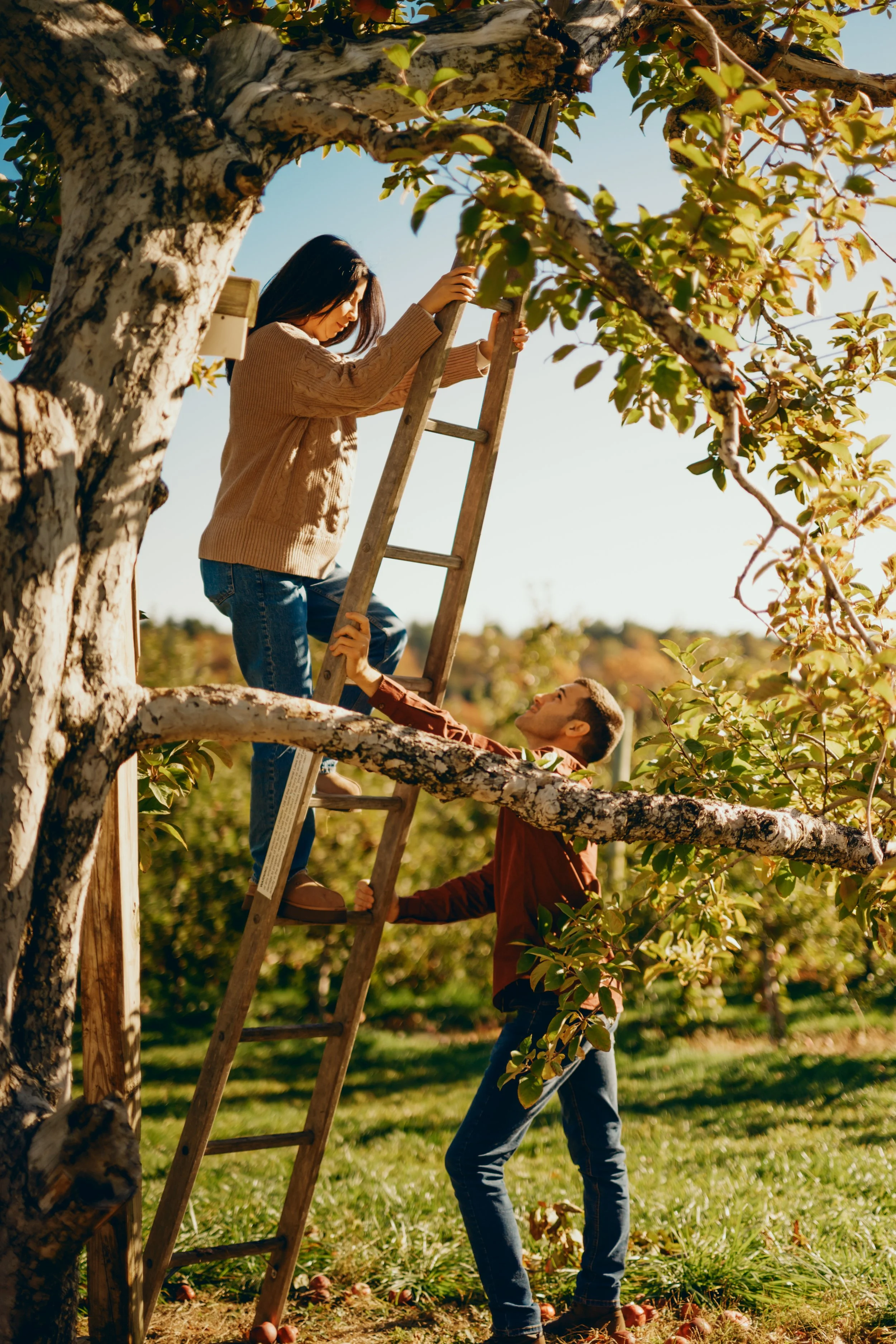 2145-Katelyn&Sandro_ApplePicking_MateenTaba.jpg