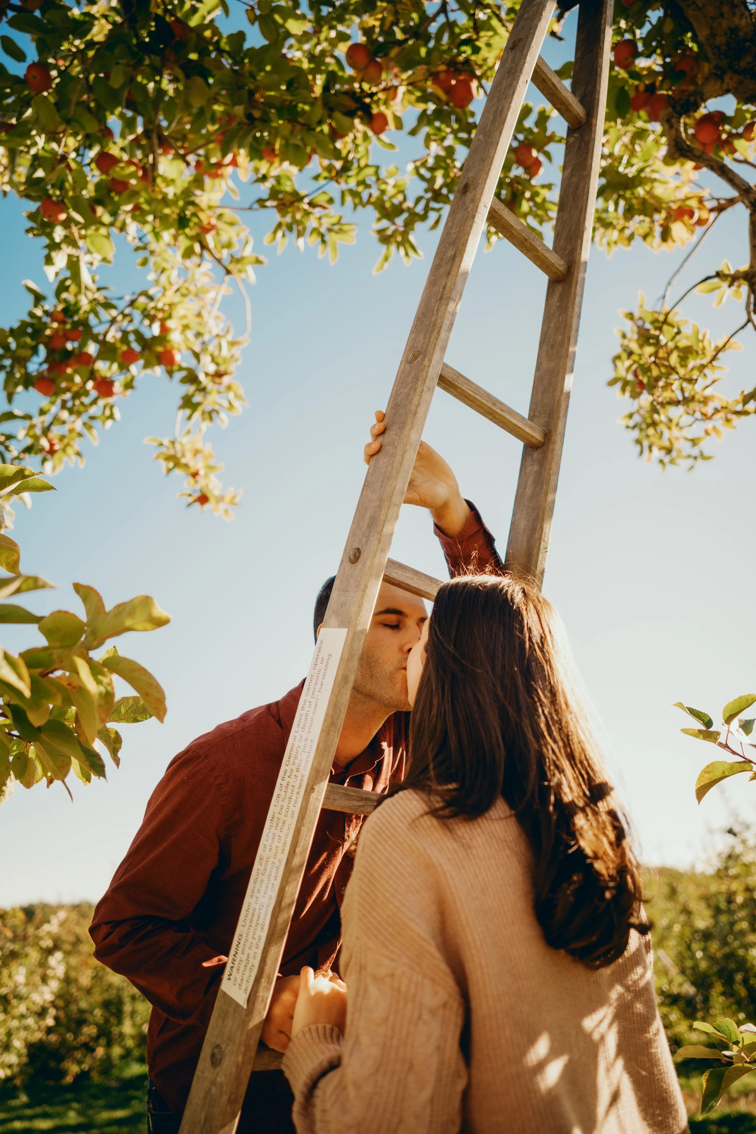 7682-Katelyn&Sandro_ApplePicking_MateenTaba.jpg