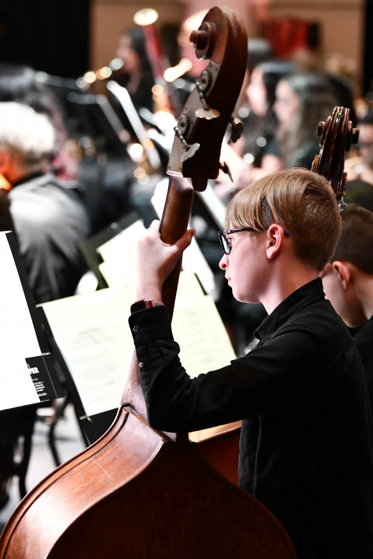 Youth Orchestra concert, bassist