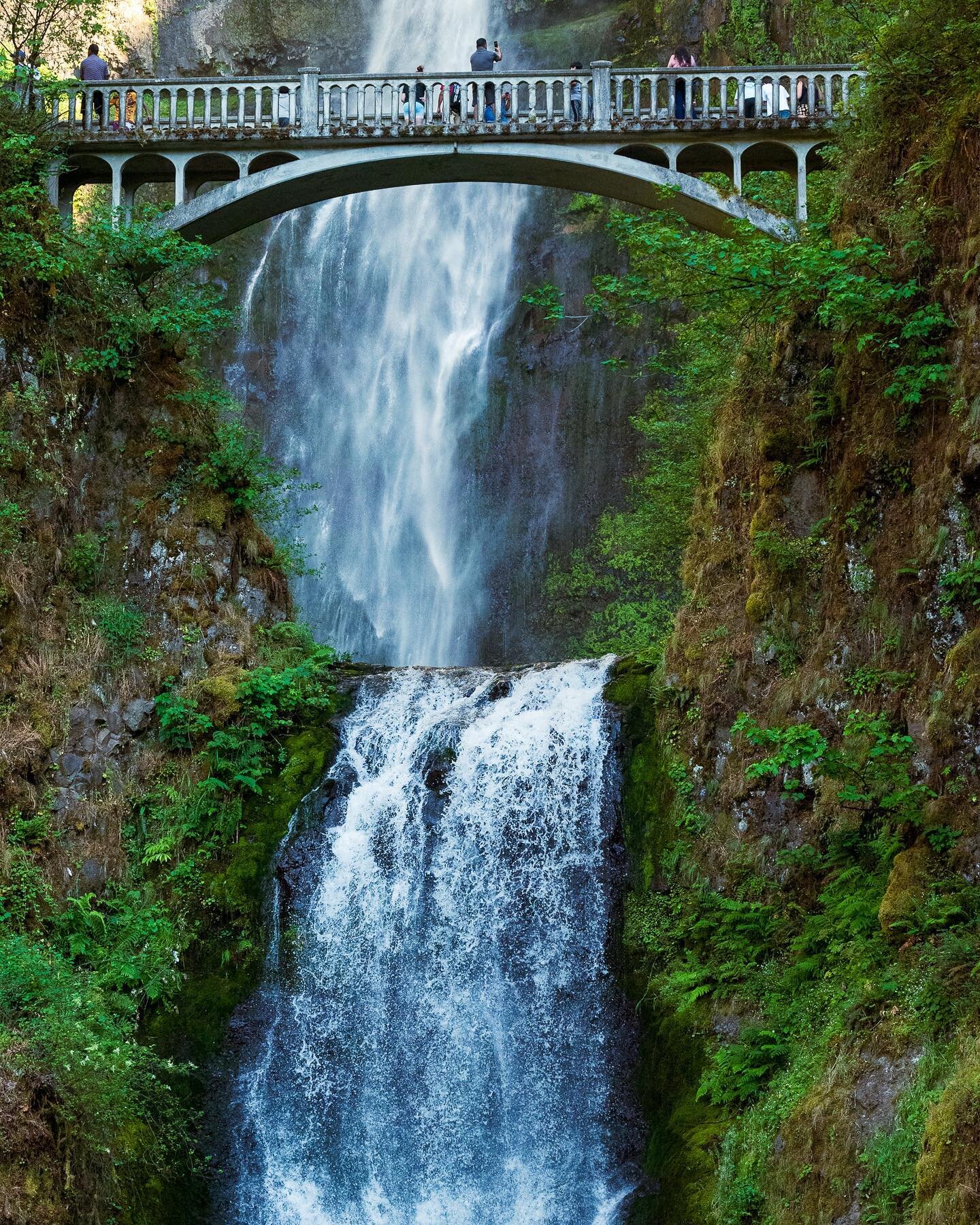 she was gorgeous🥹

Portland&rsquo;s gem in the winding day⛅️
➡️swipe for a full view of one beautiful waterfalls