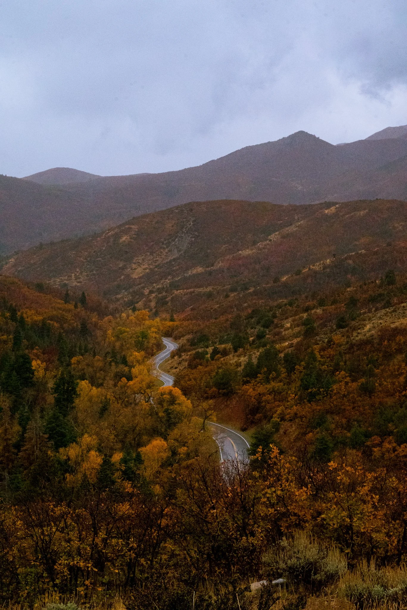 DSC_6202-2.jpg