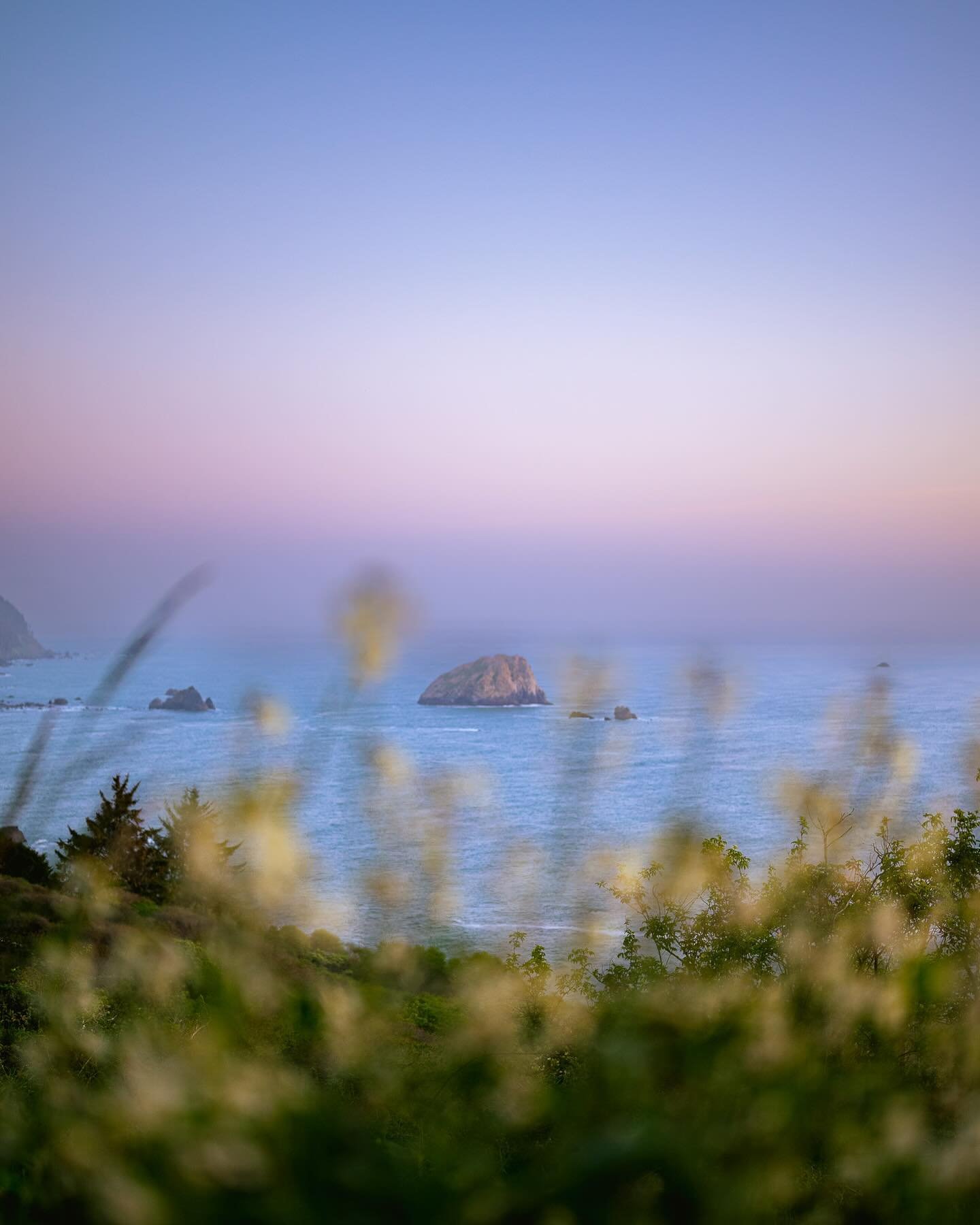 ahh, when in doubt, just escape to sunny days (&amp; evenings) by the coast 💓

#westcoast #exploremoor #nikon #oregon #california #pnw #sunset #nikoncreators #blackphotographers #redwoods #spring #wildflowerbloom