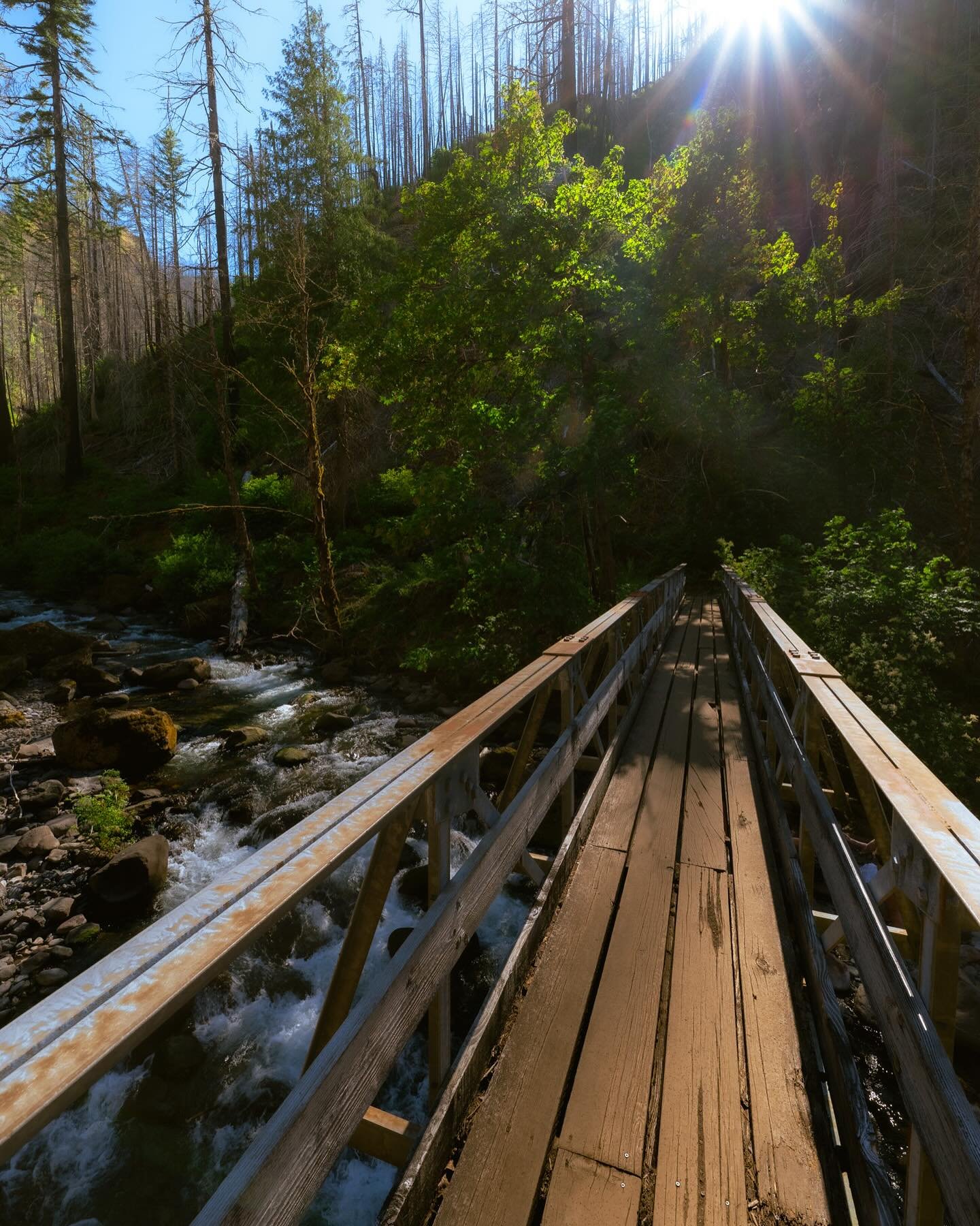 perfect trail for a hundred-degree day❤️&zwj;🔥 the temps was high so i thought it best to spend time in the water and i thank Eagle Creek for providing!!! those days are behind us this year, after numerous here in Oregon

looks like a rainy week ahe