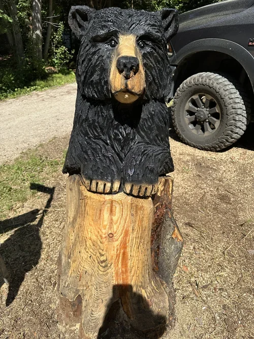 cub in a stump.webp
