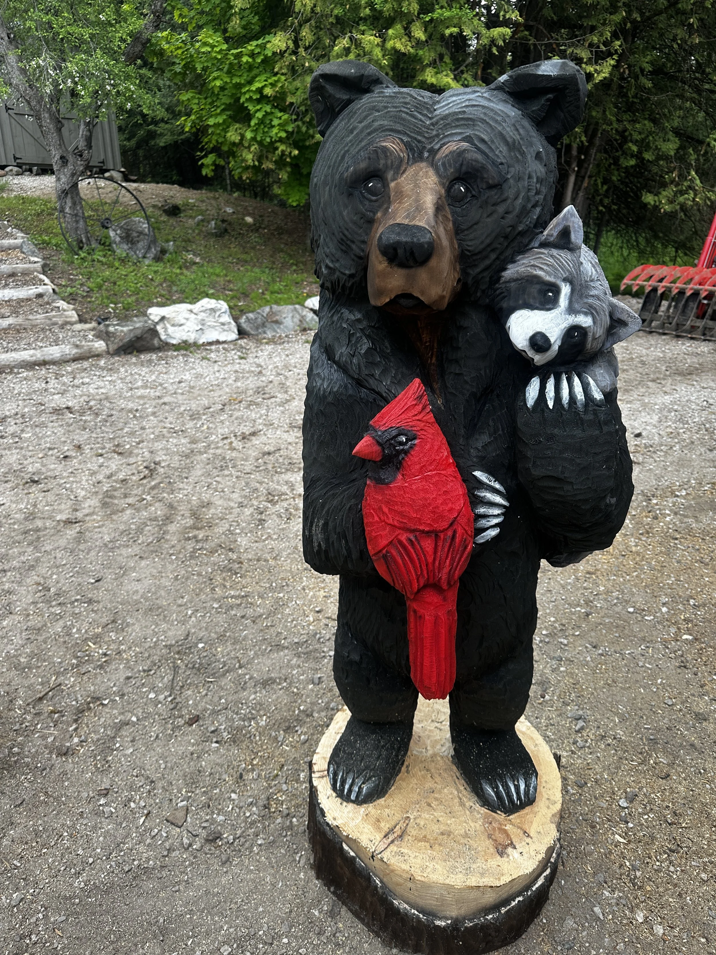Bears