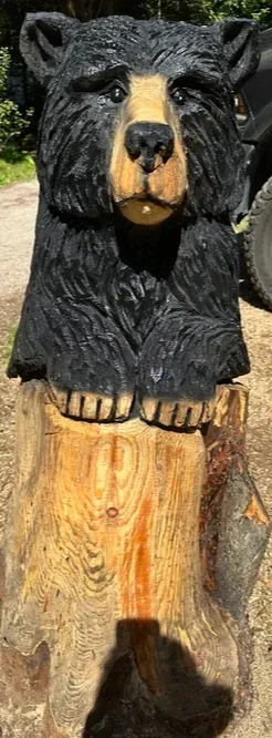cub+in+a+stump.webp