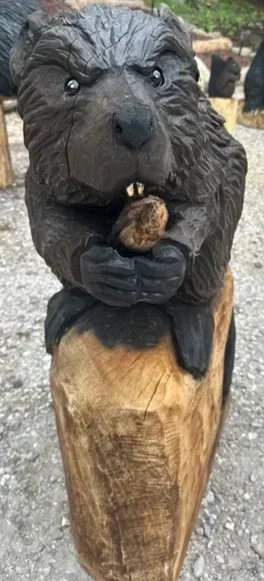 beaver+3.webp