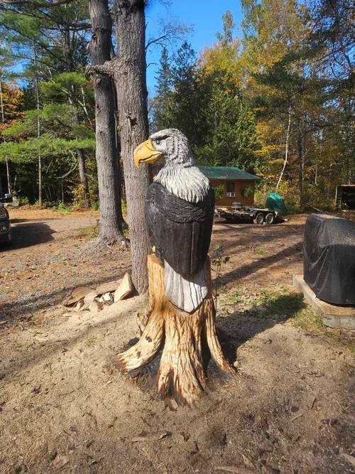 os1.webp