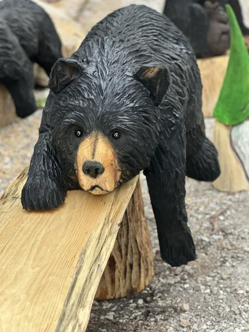 beam bear.webp