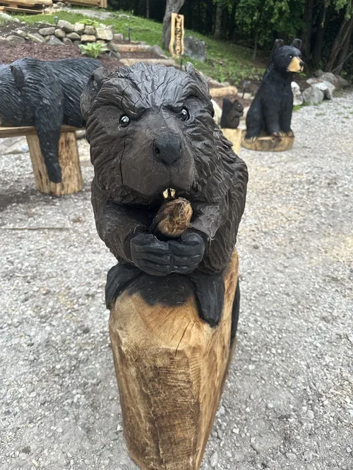 beaver 3.webp