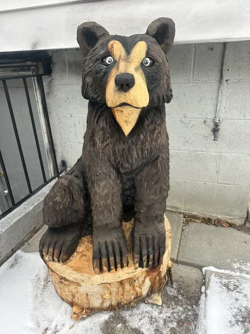 5' sitting brown bear .webp