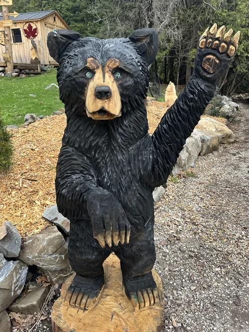 black bear waving.webp