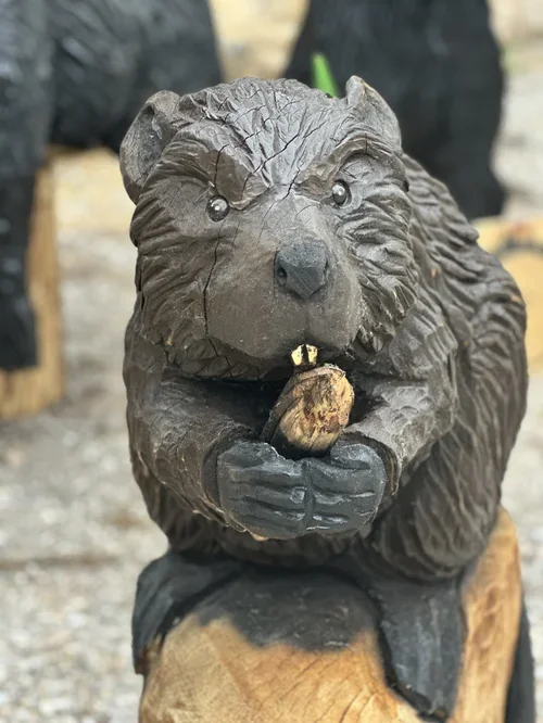 beaver 1.webp