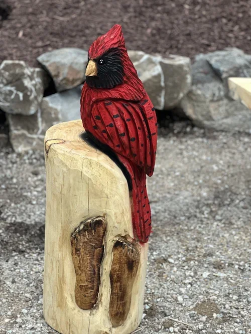 bird 14.webp