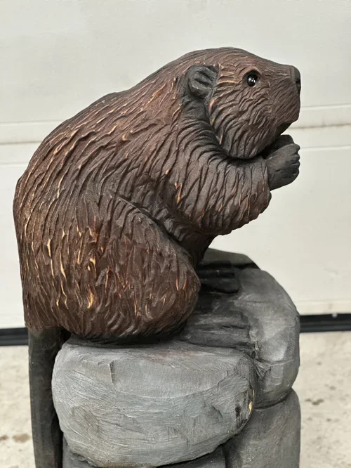 Beavers