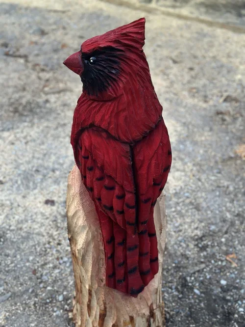 bird 12.webp