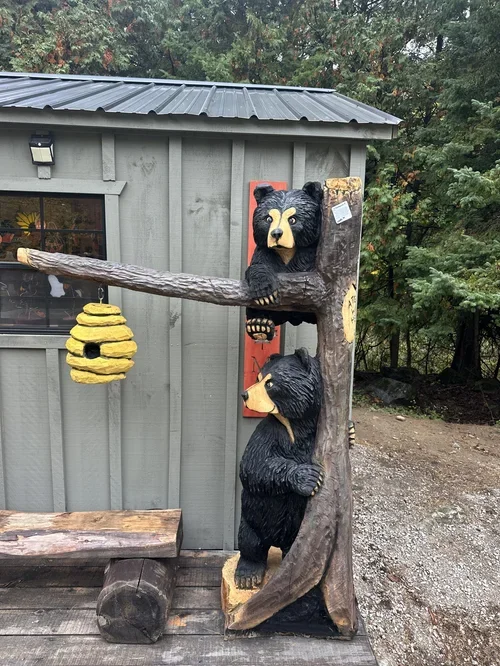 2 cubs in honey .webp