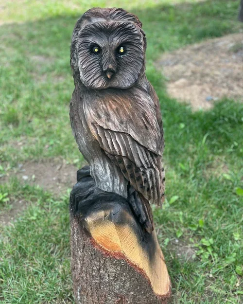 Bird 3.webp