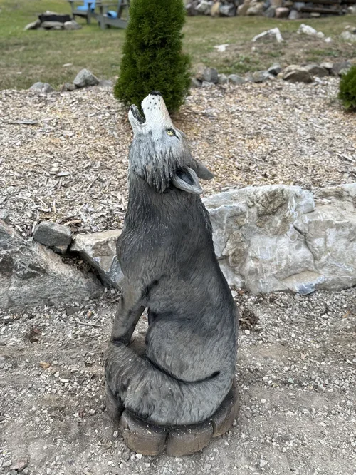 Wolves