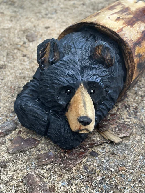 bear in a log laying down.webp