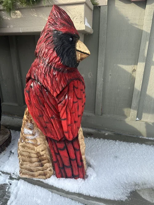 Birds