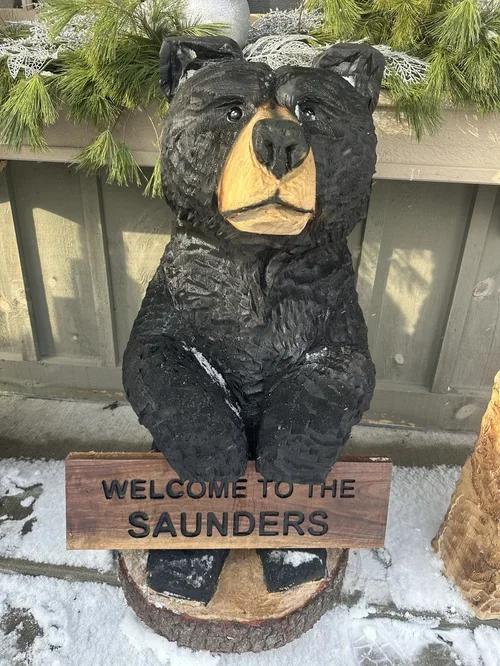 welcome bear.webp