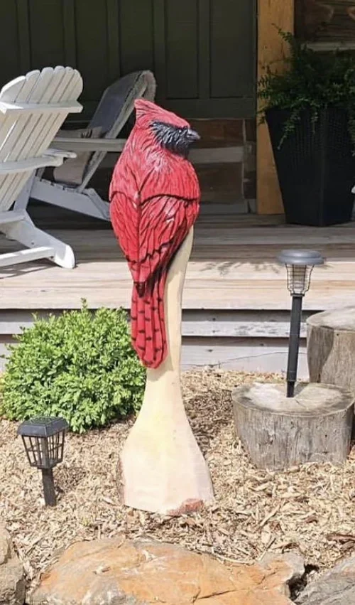 bird 9 .webp