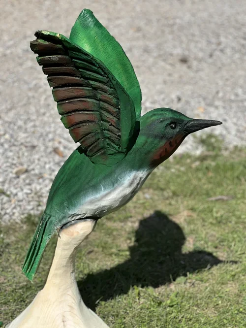 bird 7.webp