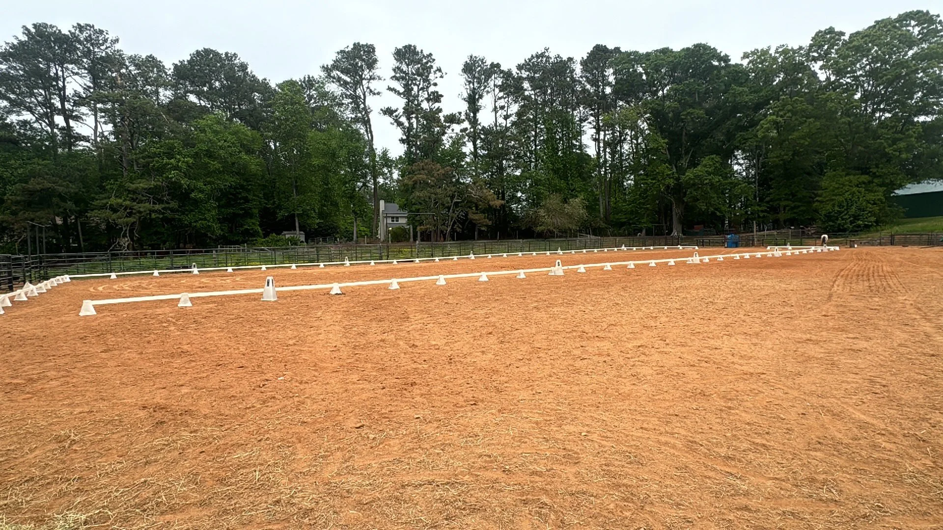 Dressage arena.jpg