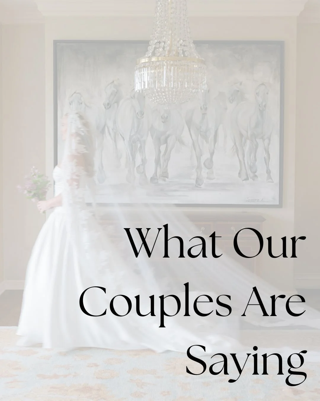 Some snippets from our 2025 clients. 

Photography by @courtneylindenphotography