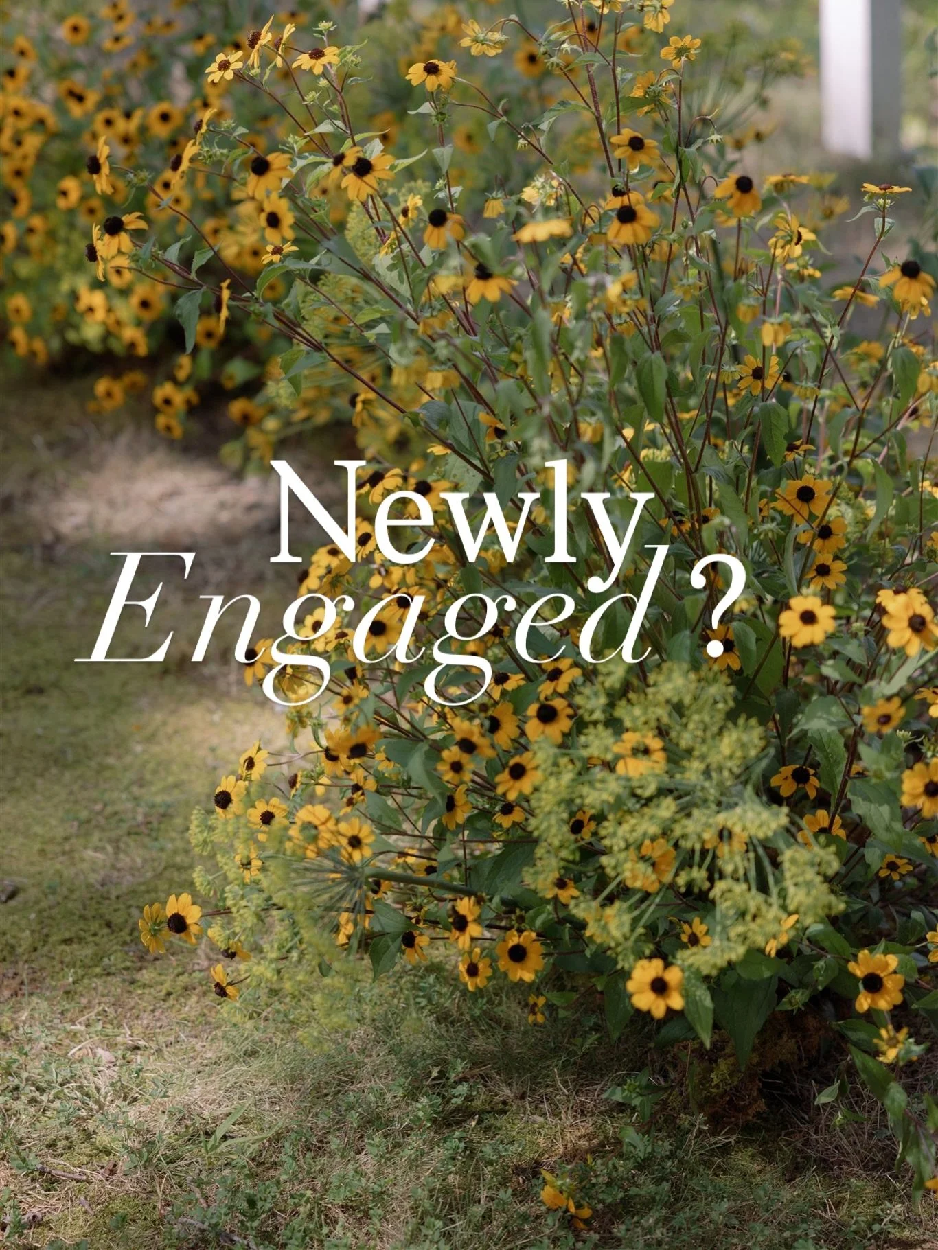 Are we a match? Let&rsquo;s find out!

We&rsquo;ve got a few spots left in our 2026 calendar. If you&rsquo;ve settled on a date and booked your venue, let&rsquo;s get inspired together. ✨

📸: @hallemorganwed