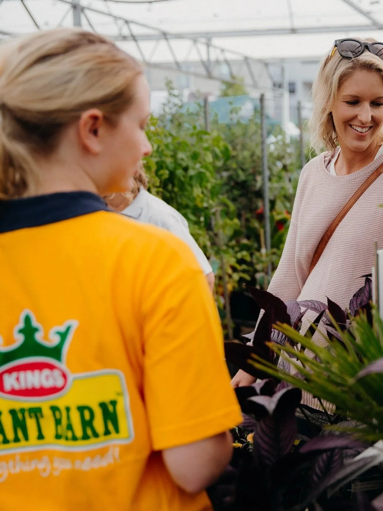 Social Media Strategy for Kings Plant Barn