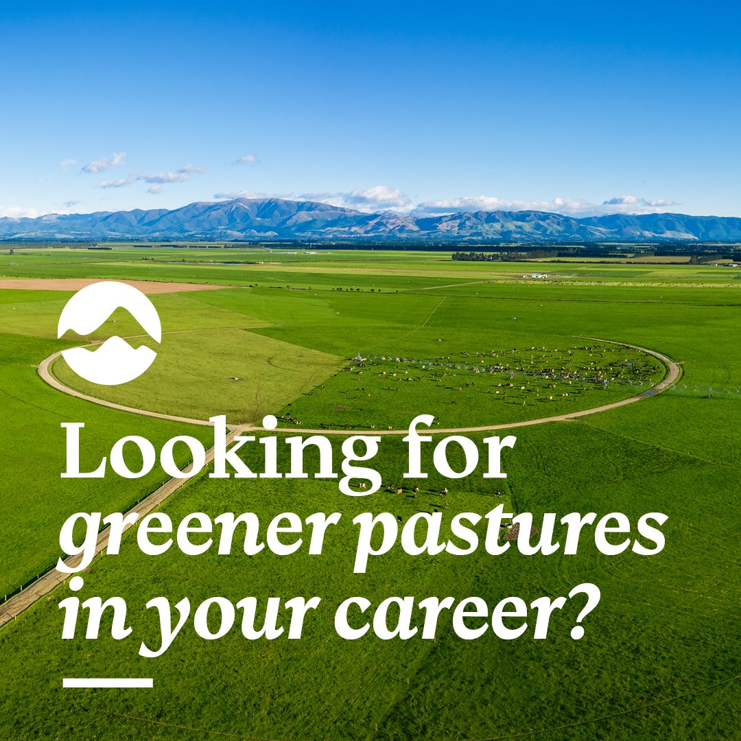 2-0_ DHO0027_Dairy Holdings_Greener pastures A.jpg
