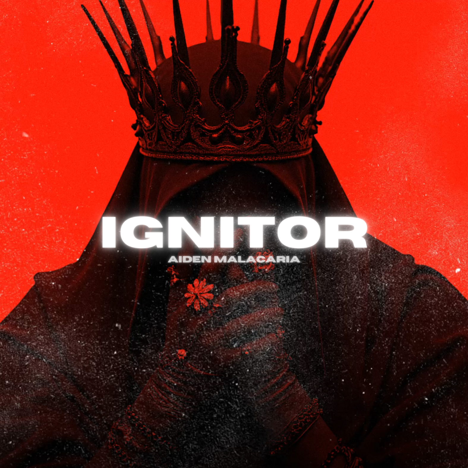 Ignitor