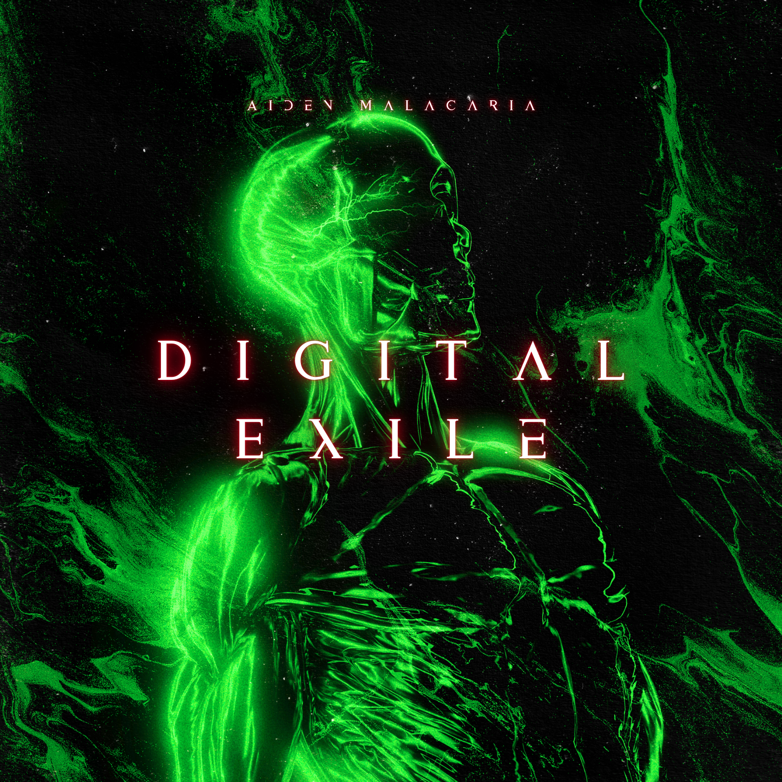 Digital Exile