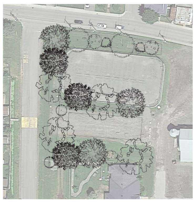 Plan de verdissement et plantation — Parc Ovila-Bernier, Saint-Lin-Laurentides