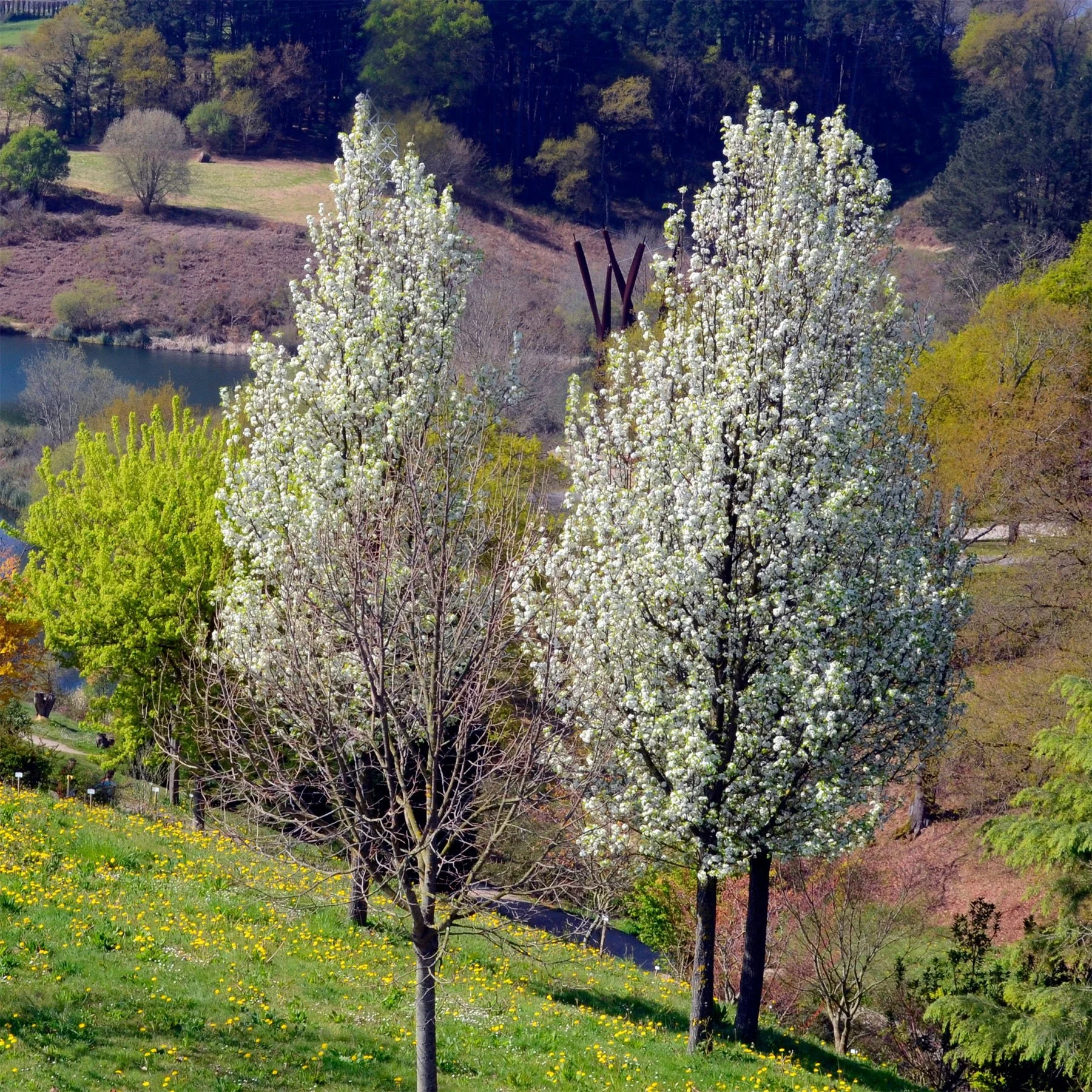 ADO_113385_1_BK_1800x.jpg