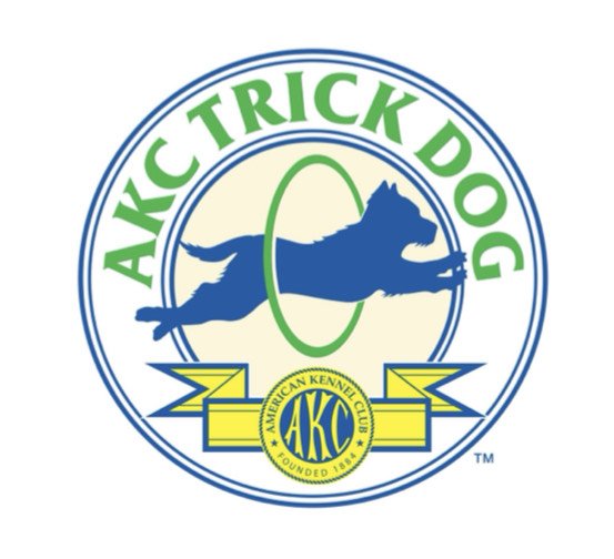 AKC Trick Dog Evaluation