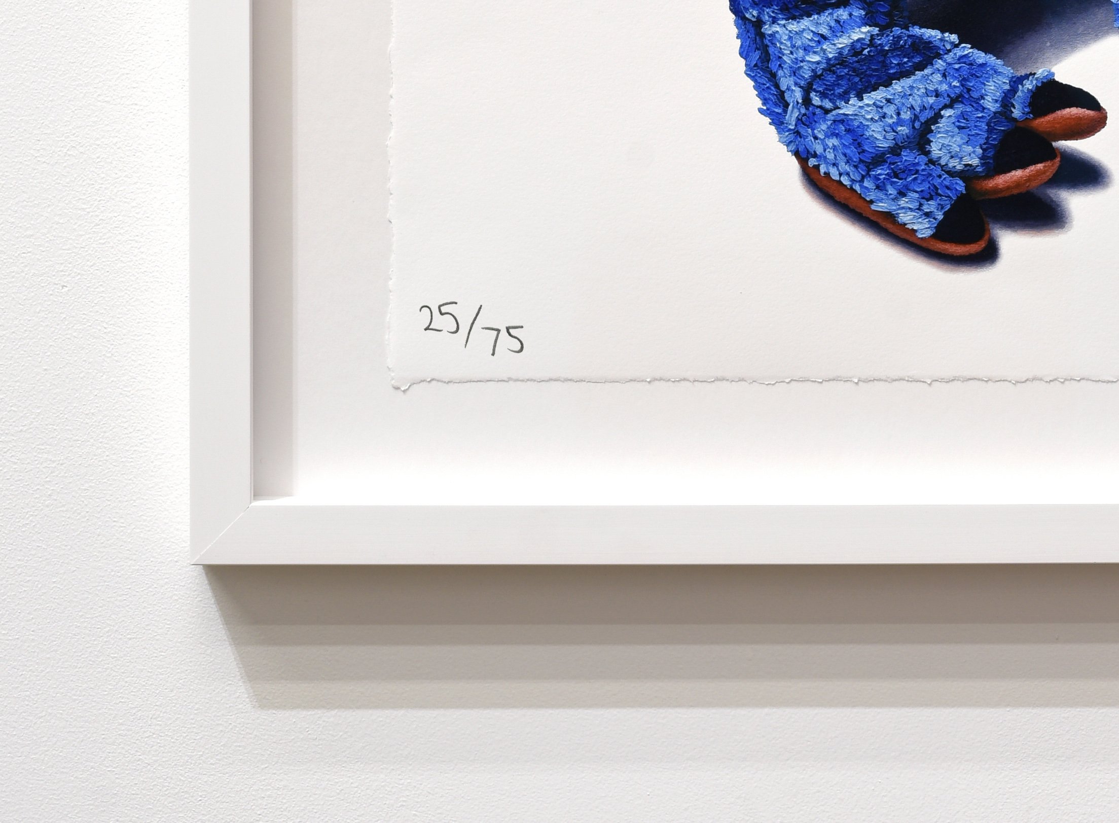 _Rex_ Print Edition.jpg