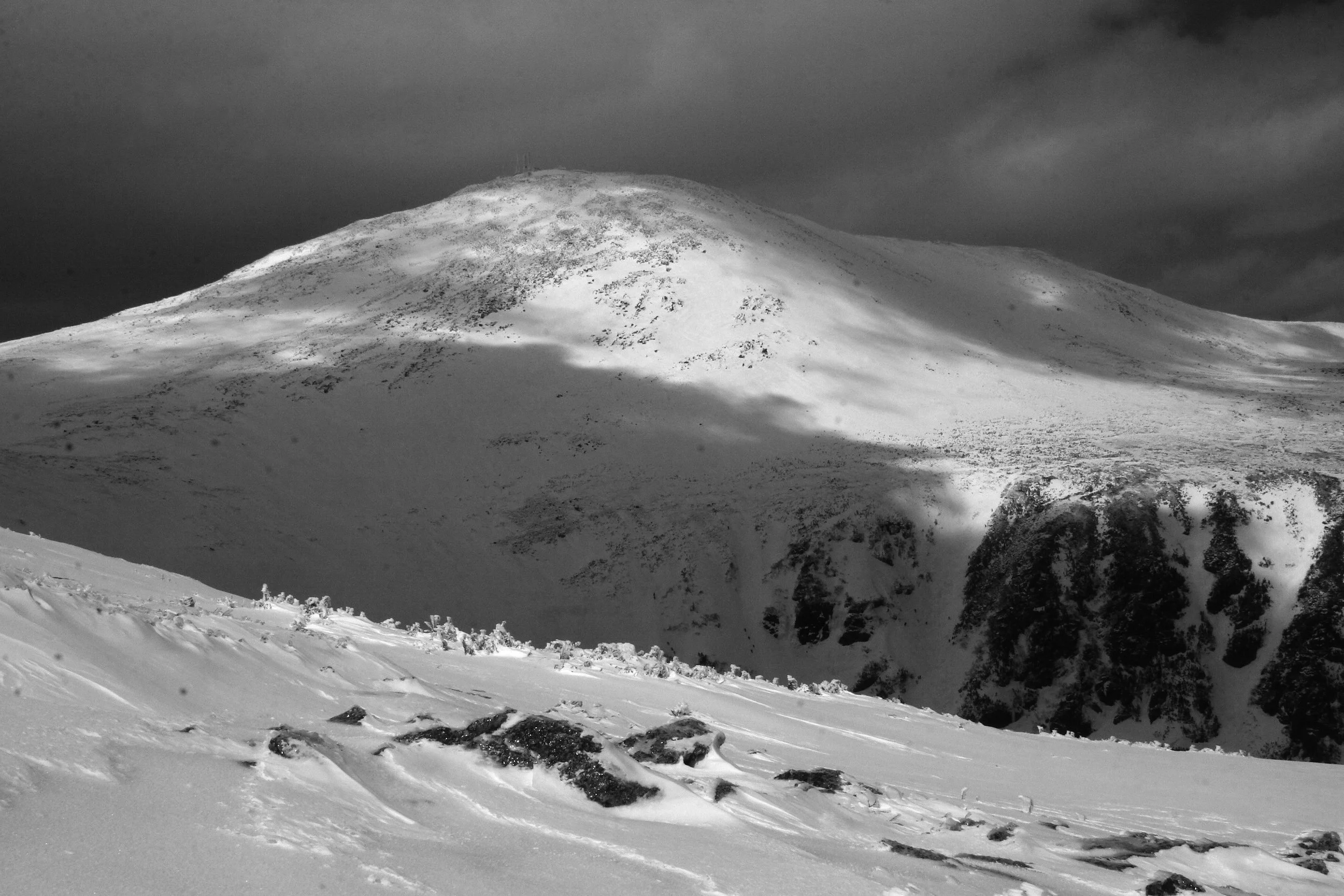 Mount Washington Distillers