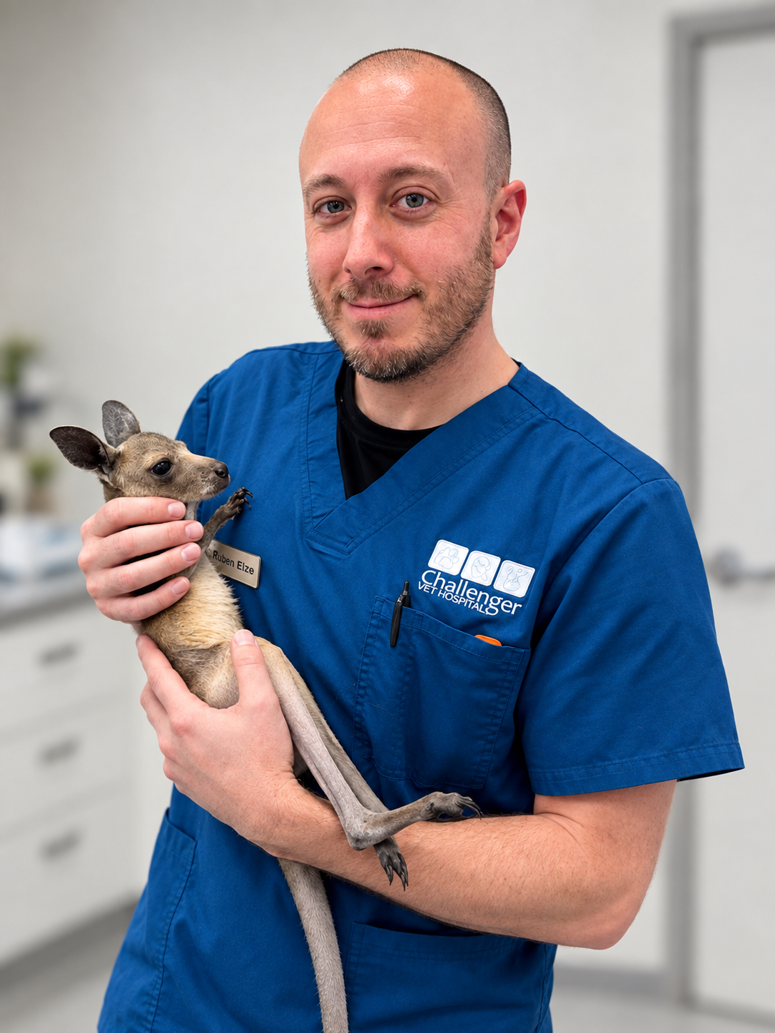 A male veterinarian holding a kangaroo joey in his arms in the treatment room.