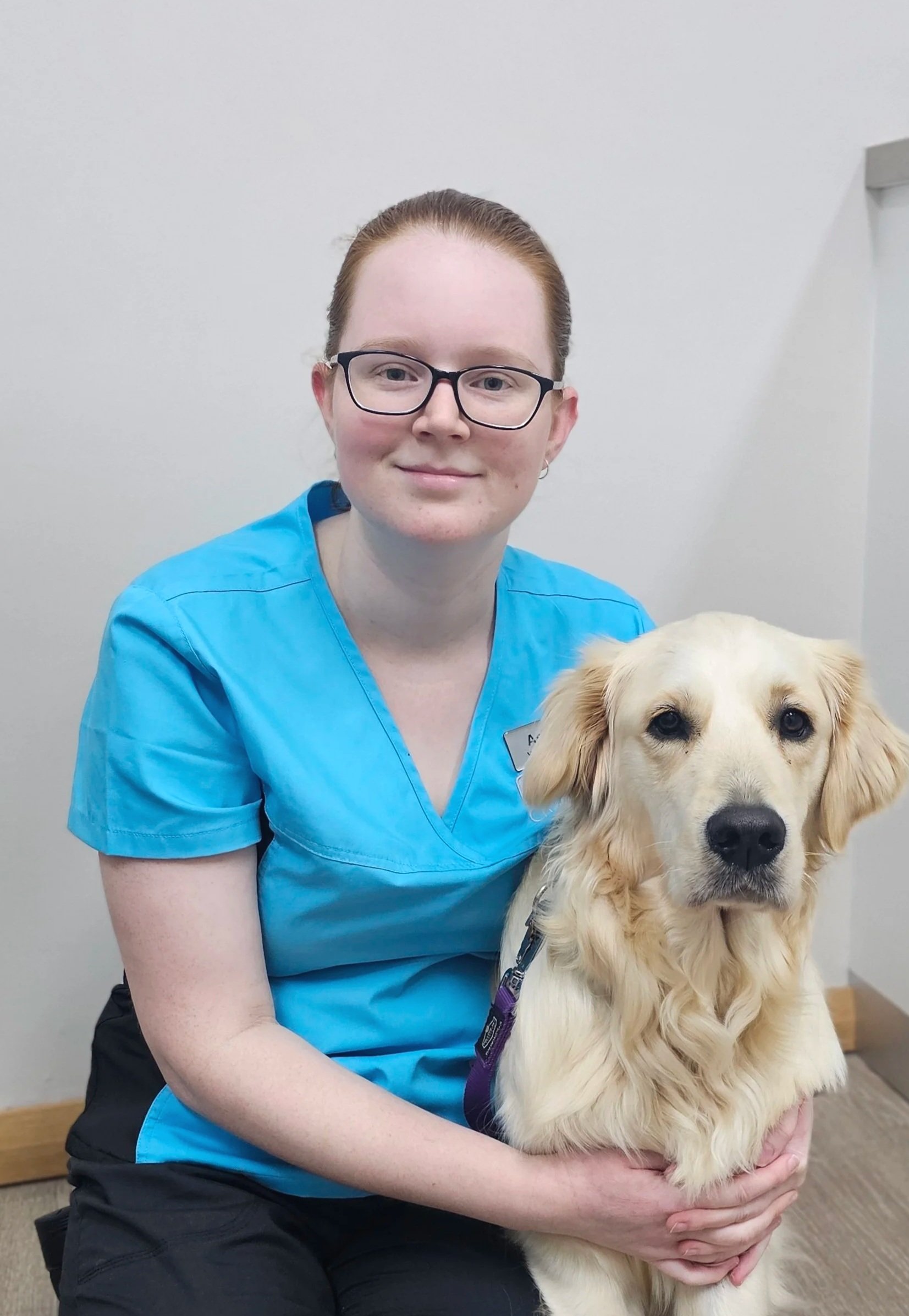 A woman in scrubs sitting and holding a guide dog in an indoor setting with plain white walls.