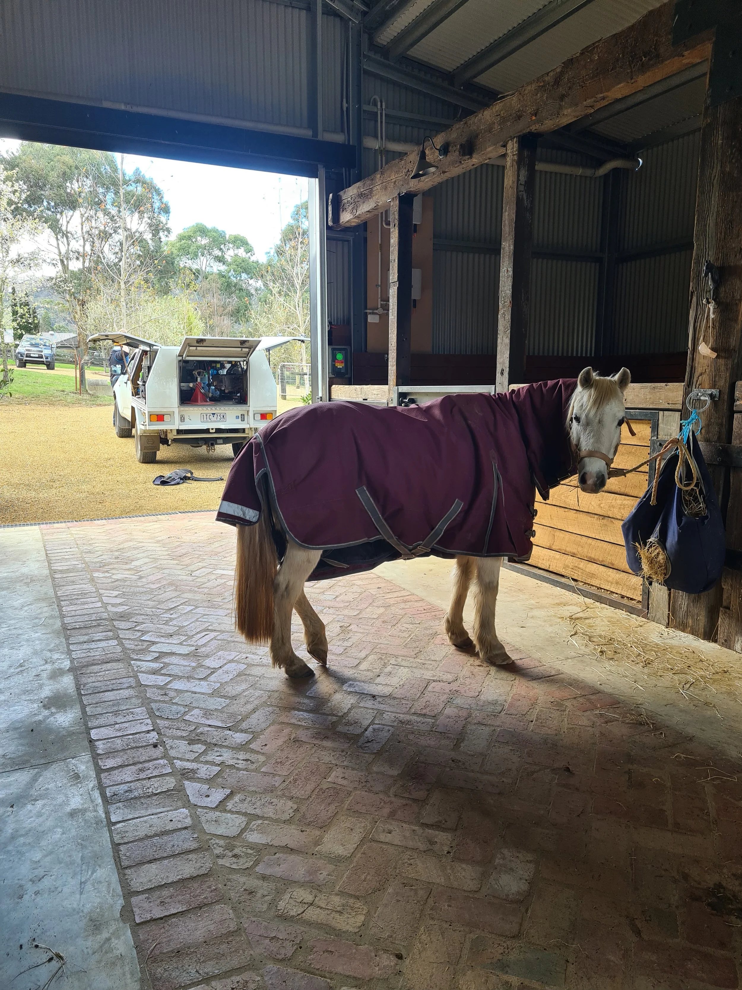 The Dream Client Guide: How to Be Every Farrier’s Favourite Client