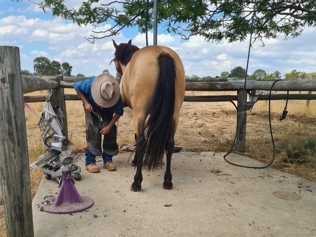 Why Current Costs &amp; Global Events Are Impacting Hoof care — And What It Means for You and Your Horse