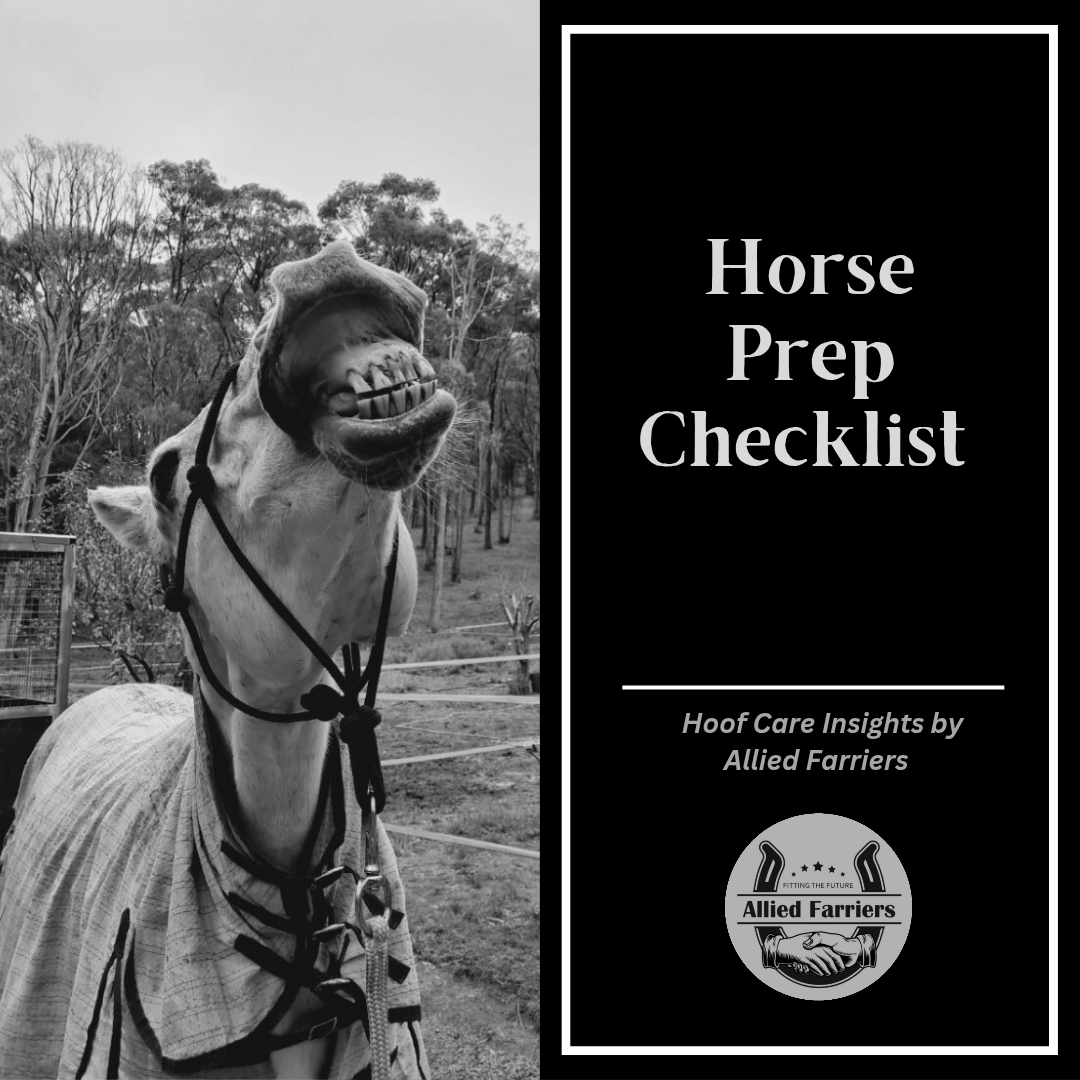 Horse Prep Checklist