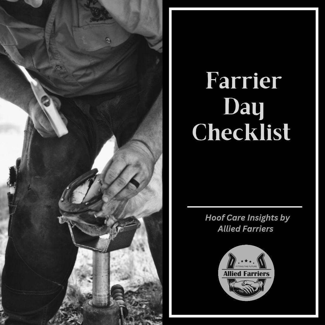 Farrier Day Checklist