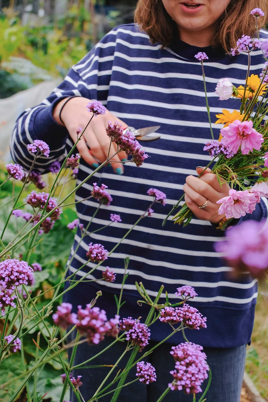 Emma Lavelle for El Naz 93.jpg