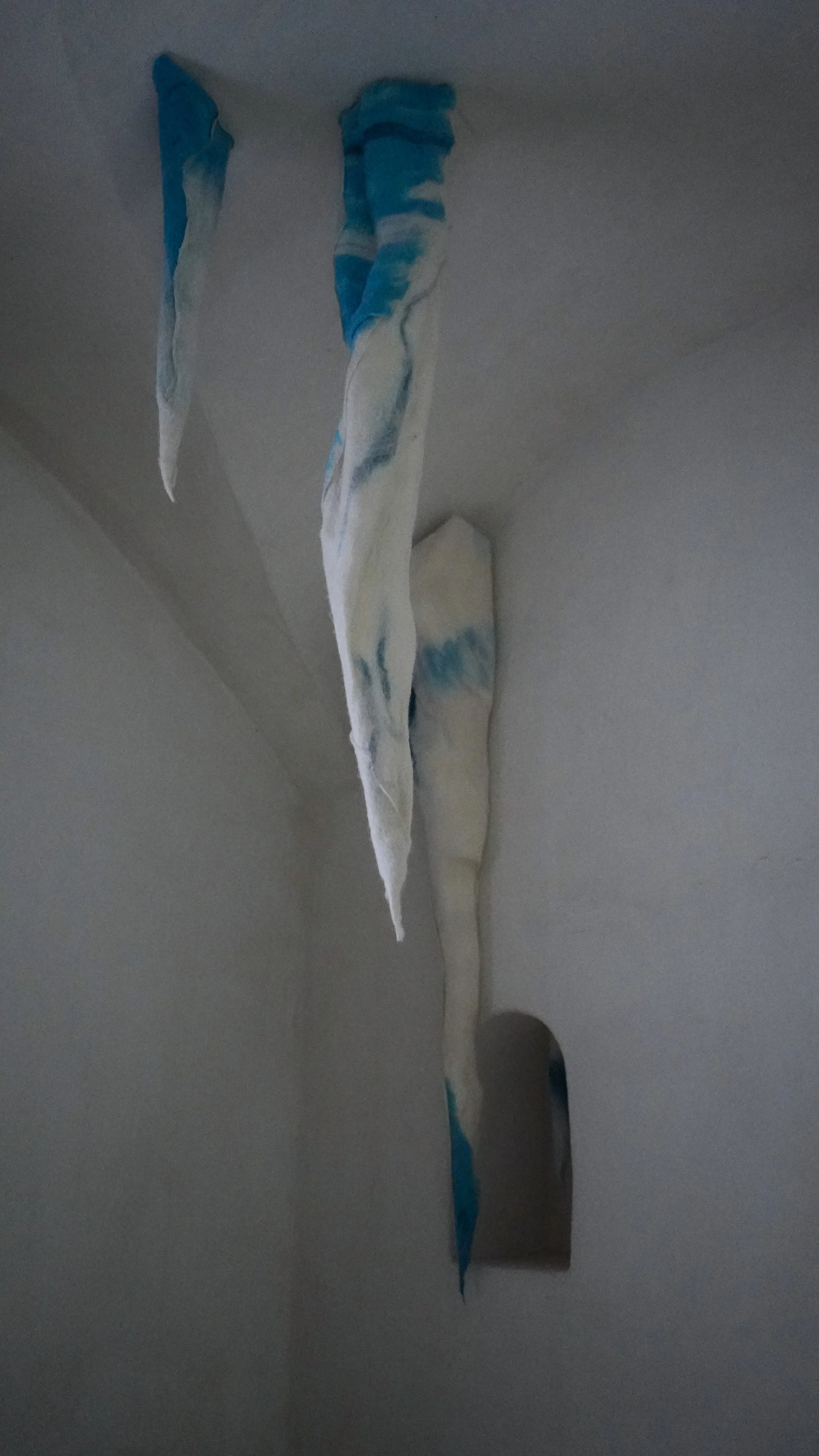 DSC03212.jpg