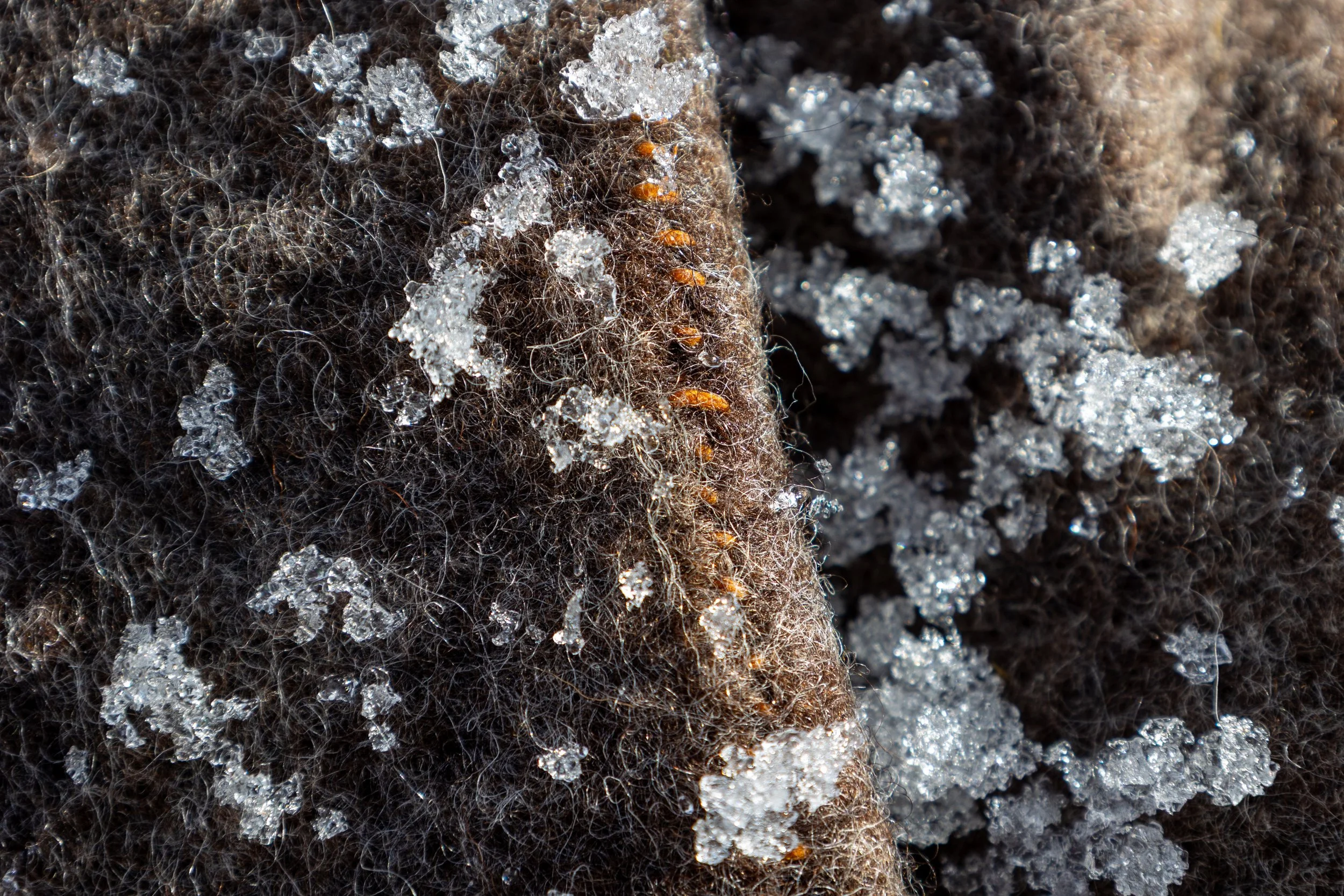 (N 46 34.148, E 8 20.212)