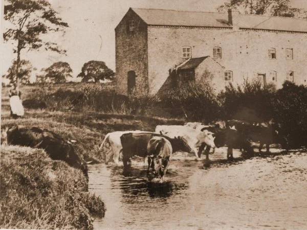 Mill c 1910 JS.jpg